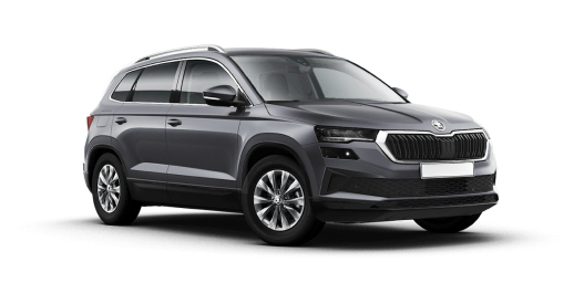 Skoda Karoq 2.0-1