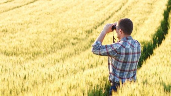 19290_es-un-hombre-mirando-por-u