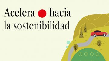 OG de Campaña Coche Otoño