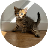 Oliver