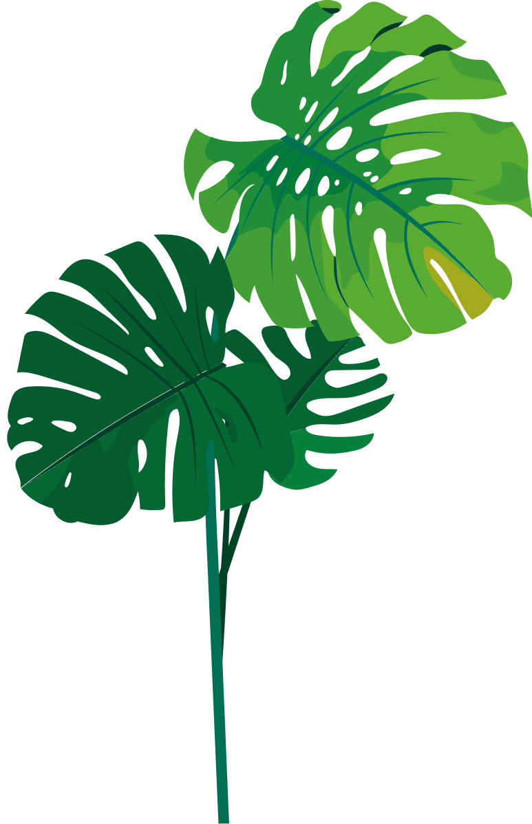 creatividad-planta-tropical